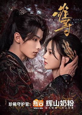 难寻第28集(大结局)