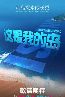 这是我的岛20240412二