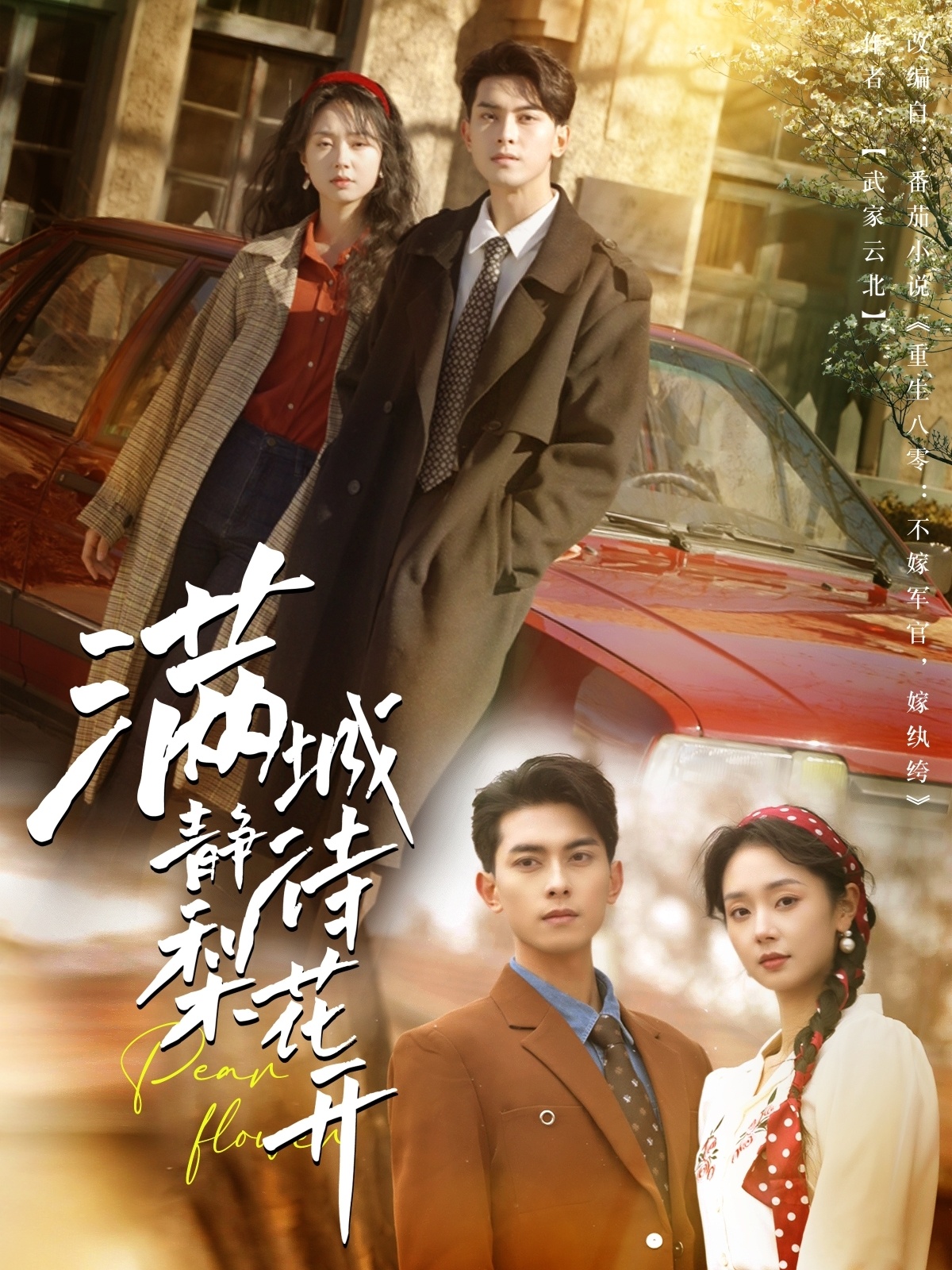 满城静待梨花开第25集